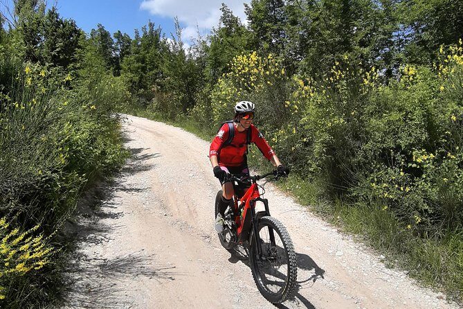 Tour in eBike Riserva Gola del Furlo and Tartufo - The Sum Up: Is This Tour Right for You?