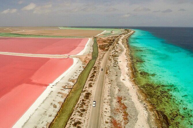 Tour in North and South Bonaire Guided - Key Points