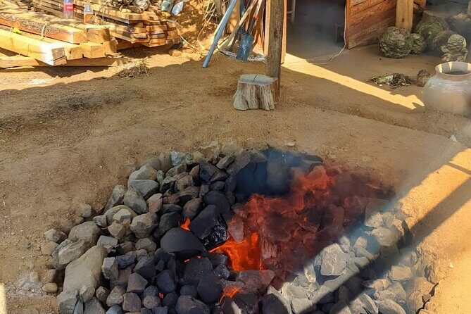 Tour in Oaxaca Monte Alban Mezcal Alebrijes and Barro Negro - Final Thoughts: Who Should Book This Tour?