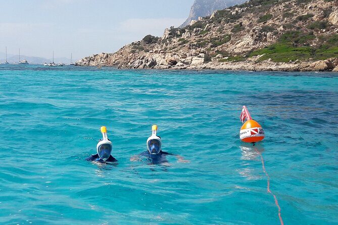 Tour in rubber dinghy and snorkeling in the Protected Marine Area of Tavolara - FAQs