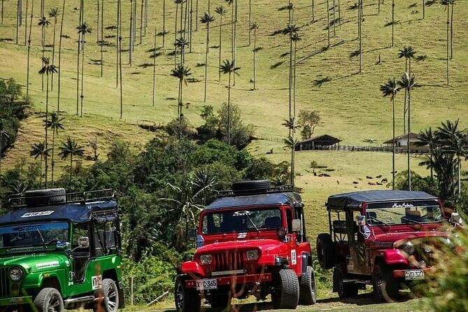 Tour in the Cocora Valley short - Who Will Love This Tour