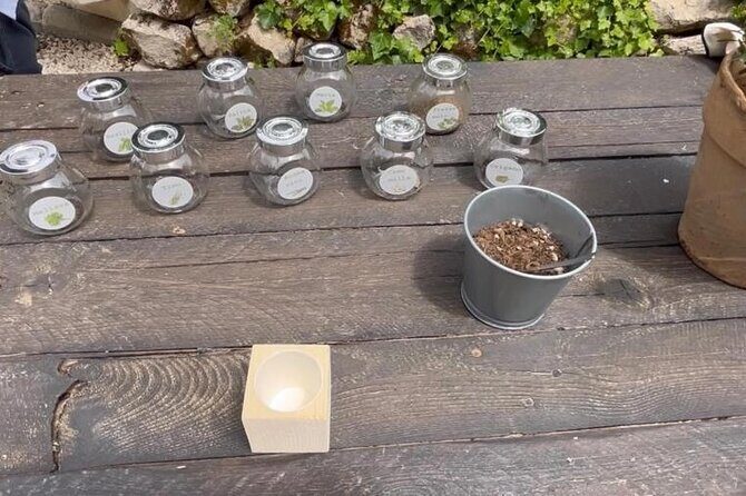 Tour in the heady scents of our garden in Ragusa - Exploring the Heady Scents of Ragusa’s Garden