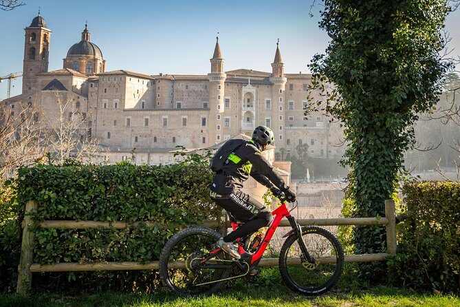Tour in the Marche by Raffaello Sanzio: Art, Nature, Food and Wine - In-depth Review of the Marche Tour: Art, Nature, Food and Wine