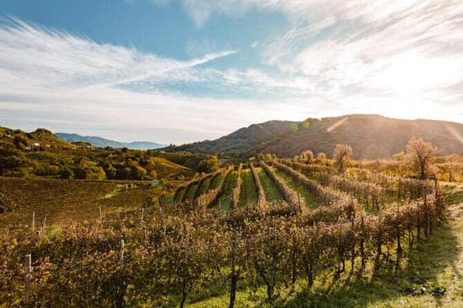 Tour in the Prosecco Hills Tour from Padua - What to Expect from This Tour