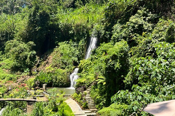 Tour in Ubud with a Private Driver - The Sum Up