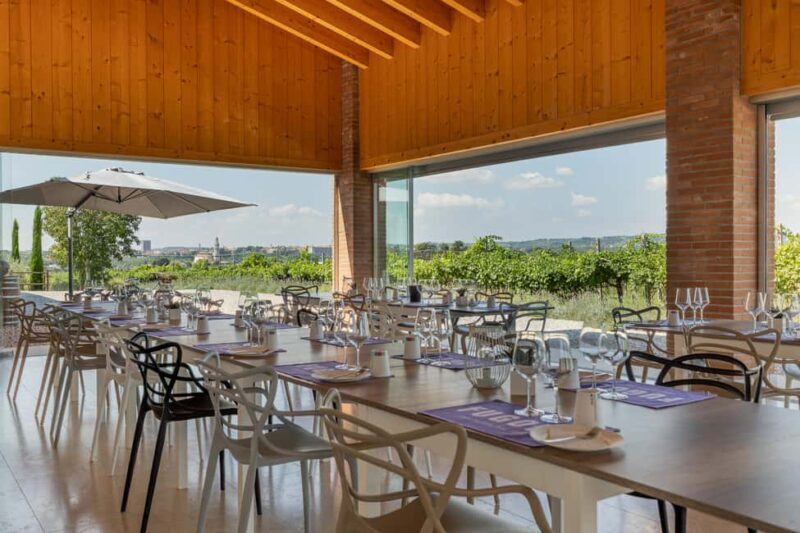 Tour in Valpolicella: wine, oil, and peach tasting - Who Should Consider This Tour?