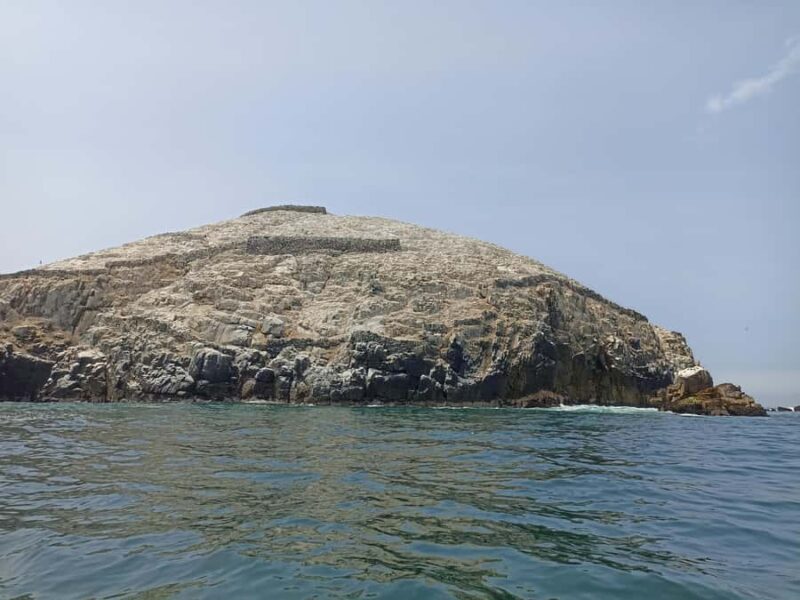 Tour islas Palomino - Key Points