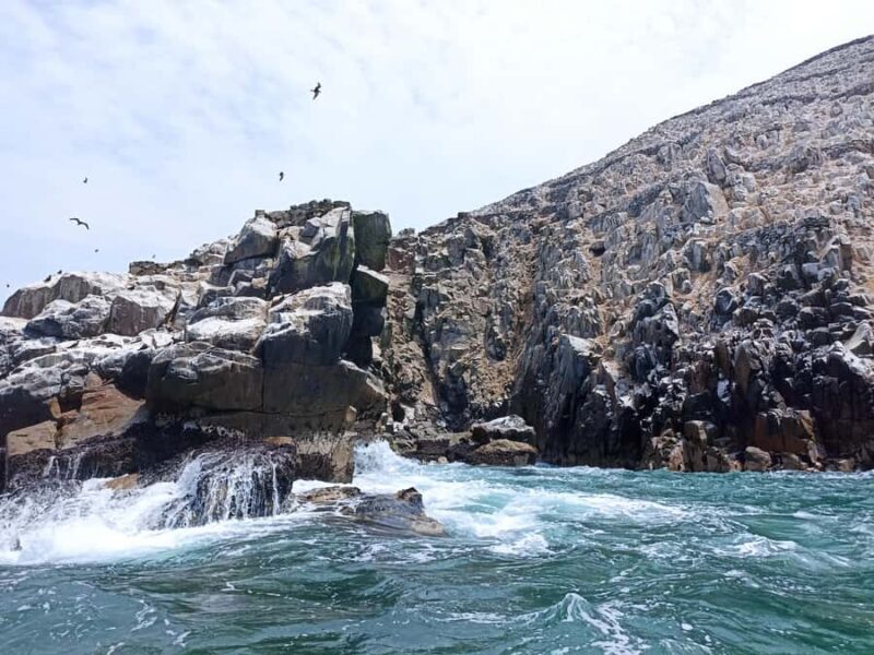 Tour islas Palomino - Practical Tips for Your Trip