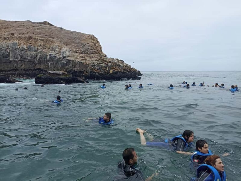 Tour islas Palomino - Who Should Consider This Tour?