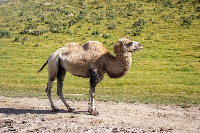 Tour Kegeti gorge , Burana Tower, canyons Kok Moynok, Issyk Kul - Exploring Kyrgyzstan’s Natural and Cultural Treasures