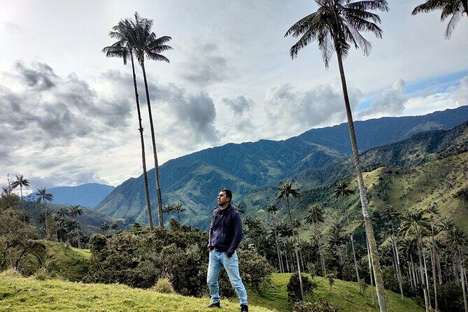 Tour La Carbonera. A large forest of Palmas de Cera - Key Points