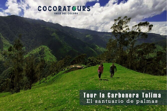 Tour La Carbonera. A large forest of Palmas de Cera - The Sum Up