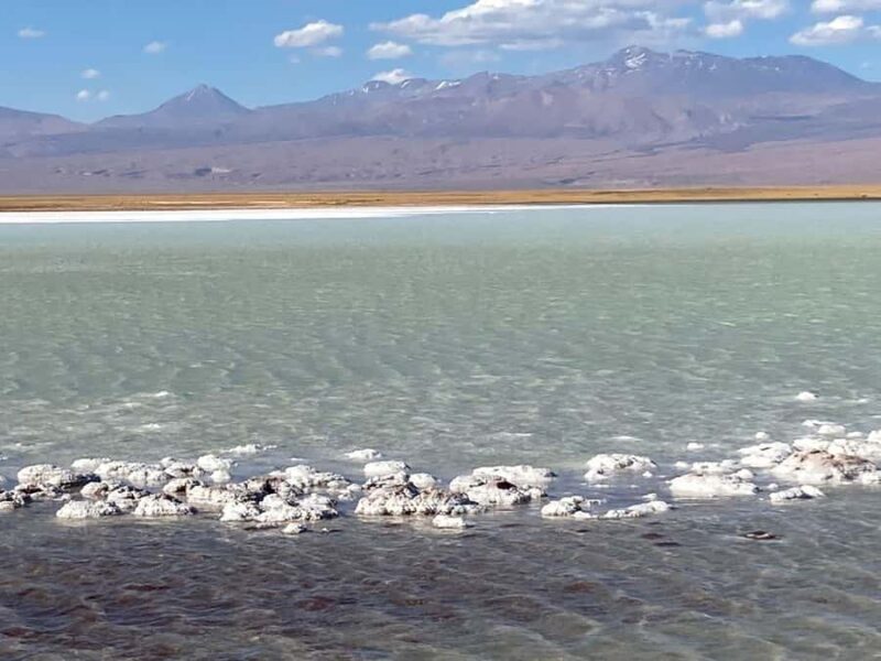 Tour Laguna Cejar - Key Points