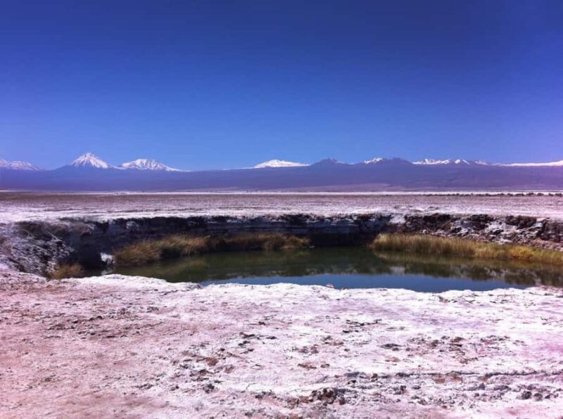 Tour Laguna Cejar - Exploring Laguna Cejar: What You Can Expect