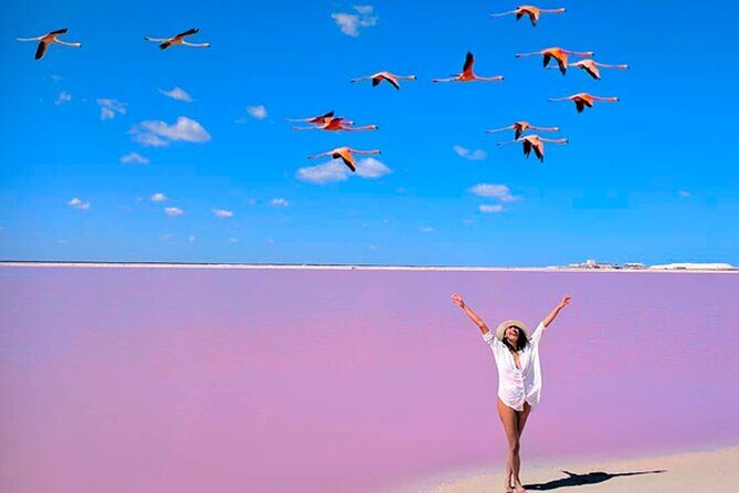 Tour Las Coloradas - What to Expect at Rio Lagartos: The Gateway to Nature