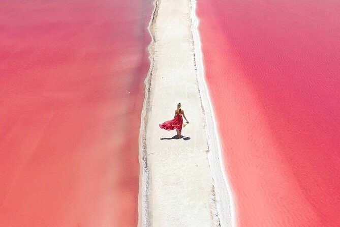 Tour Las Coloradas & Rio Lagartos from Riviera Maya - Key Points