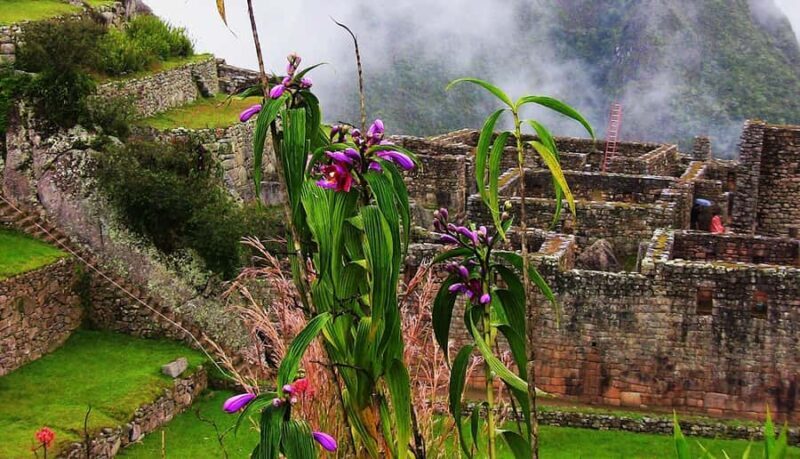 Tour Machu Picchu + Mountain of Huayna Picchu 2 days - Who Should Consider This Tour?