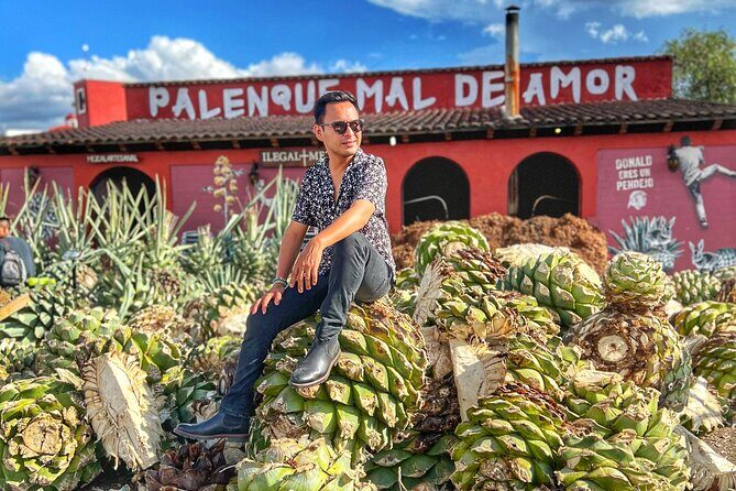Tour Monte Albán, Hierve el agua, Teotitlán Del Valle and Mezcal - The Sum Up