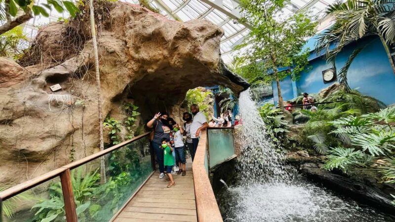 TOUR "Museo del Desierto" + Traslados + Tickets incluidos - Frequently Asked Questions