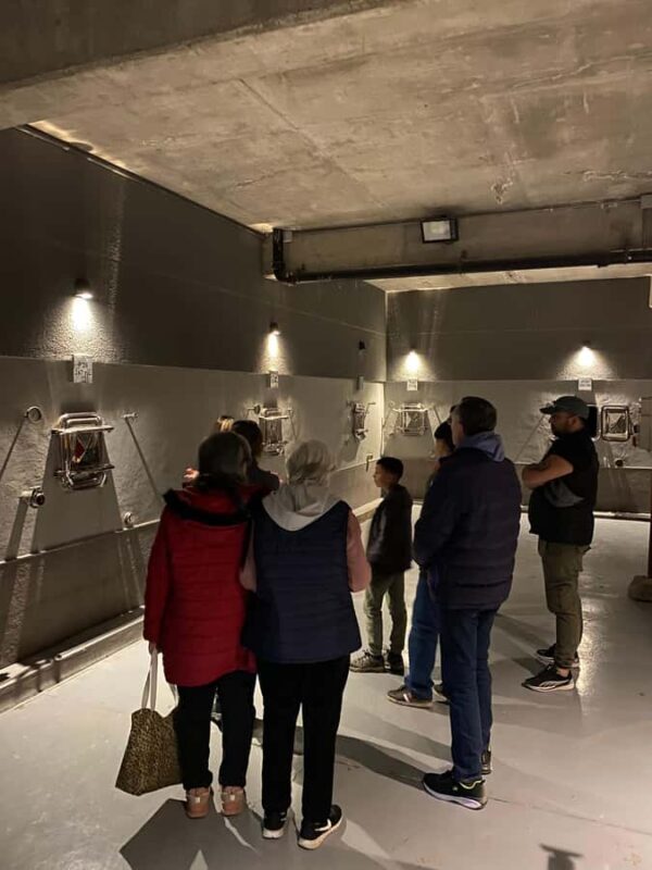 Tour of 3 wineries in Maipú with lunch + olive groves - Tour of 3 Wineries in Maipú with Lunch + Olive Groves