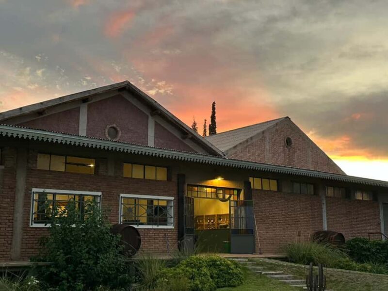 Tour of 3 wineries in Maipú with lunch + olive groves - Key Points