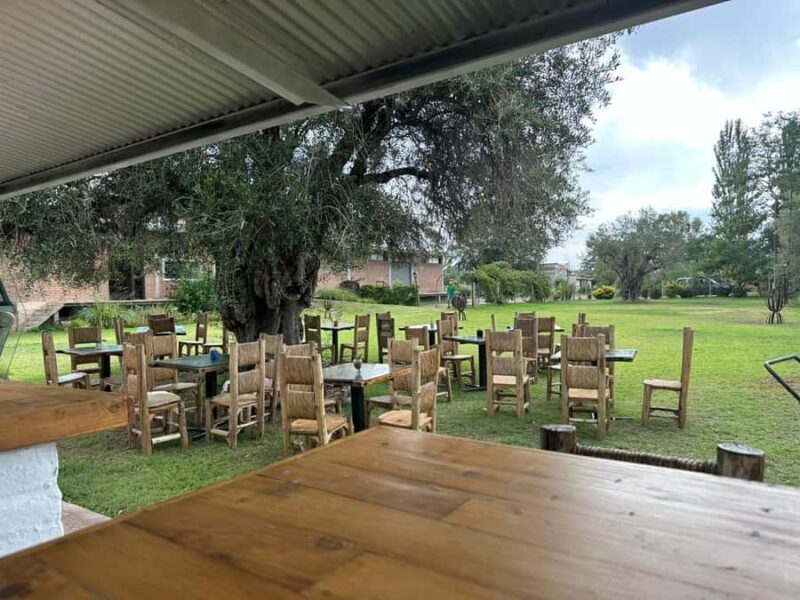 Tour of 3 wineries in Maipú with lunch + olive groves - Value and Who Will Benefit Most