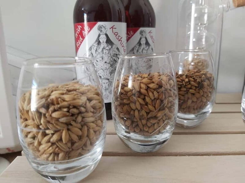 Tour of a craft brewery with tasting - Who Should Consider This Tour?