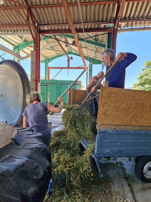 Tour of a family-run lavender essential oil distillery - Who Will Love This Tour?