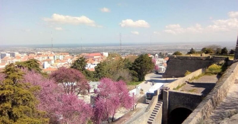 Tour of Arrábida and beautiful landscapes and wine tasting - FAQ