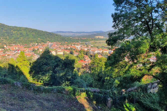 Tour of Bran CASTLE + Peles Castle + Brasov City from Bucharest - Private TOUR - Final Thoughts