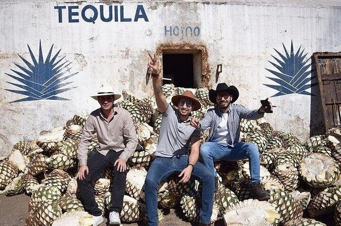 Tour of El Castillo Distillery to Cantaritos Experience - FAQ