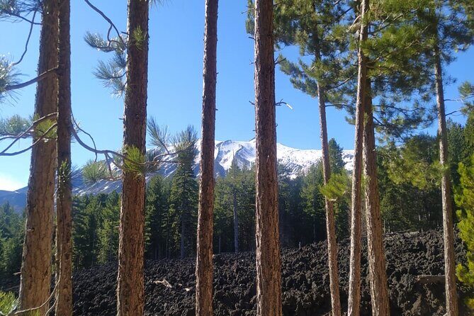 Tour of Etna on foot, food and wine tasting in the Etna winery - What Makes This Tour Special?