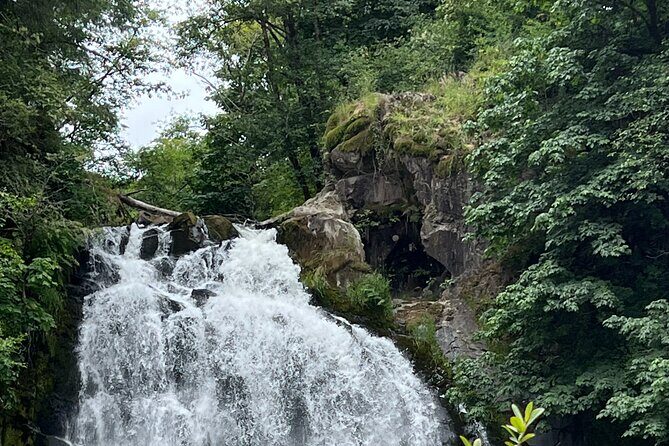 Tour of Fort Clatsop, Youngs River Falls & Warrenton Countryside - Key Points