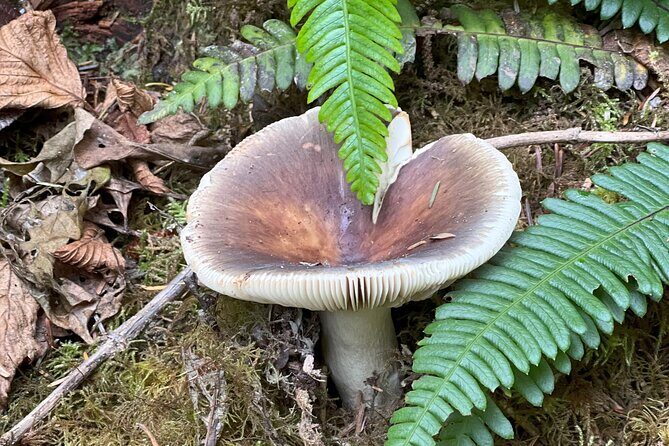 Tour of Fort Clatsop, Youngs River Falls & Warrenton Countryside - A Closer Look at the Tour Experience