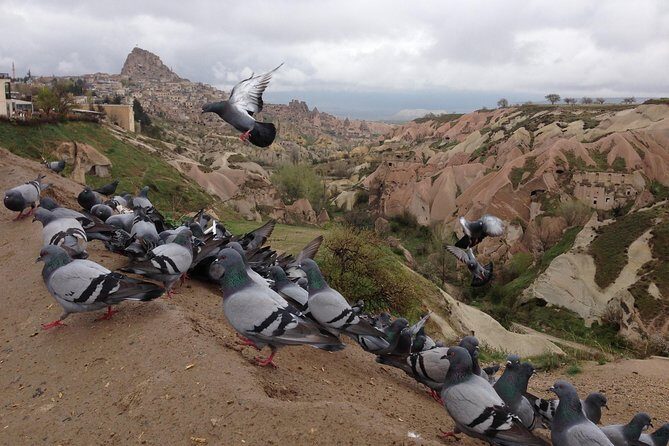 Tour of Highlights of Cappadocia with Lunch - The Bottom Line: Who Should Consider This Tour?
