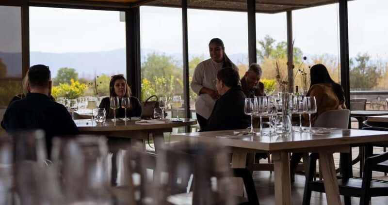 Tour of Maipú - Exploring the Maipú Wine Region with Adora Mendoza