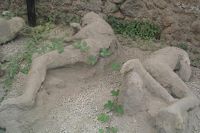 Tour of Mt. Vesuvius+Sorrento+Pompeii (Full Day) - The Experience from a Traveler’s Perspective