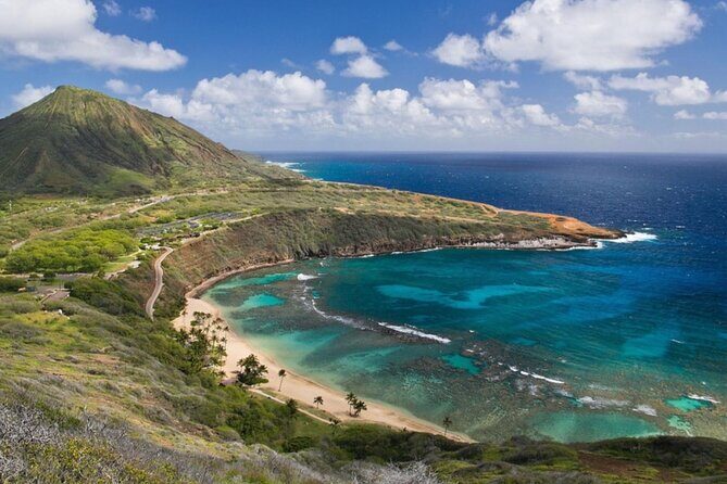 Tour of North Shore & Waimea Waterfall - The Overview: What to Expect from the Tour