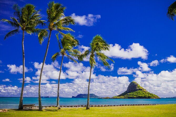 Tour of North Shore & Waimea Waterfall - Why This Tour Offers Value