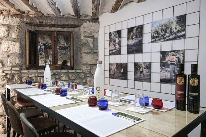 Tour of Olive Grove and Oil Mills with Oil Tasting - What Do the Reviews Say?