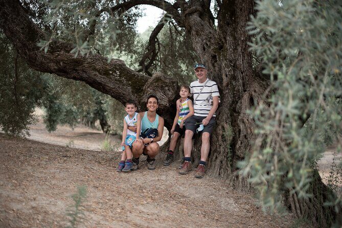 Tour of Olive Grove and Oil Mills with Oil Tasting - Who Should Consider This Tour?