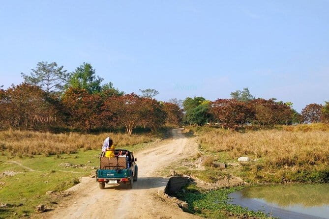 Tour of Pobitora Wildlife Sanctuary from Guwahati with Safari, Lunch and Guide - Key Points
