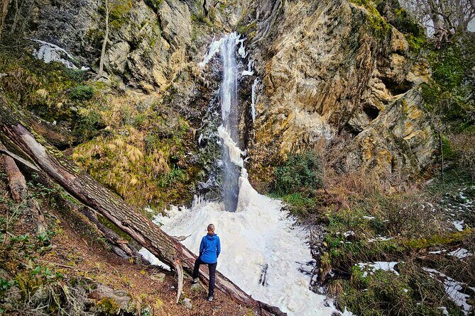 Tour of Puerto Almanza and Punta Paraná in Ushuaia - Exploring the Itinerary: A Deep Dive