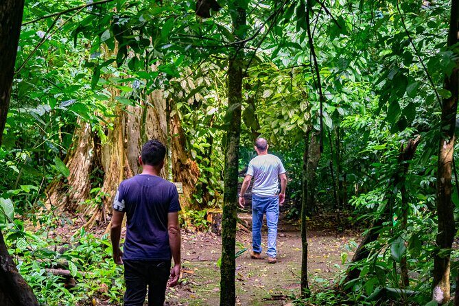 Tour of sloths, exotic birds, frogs. - Key Points