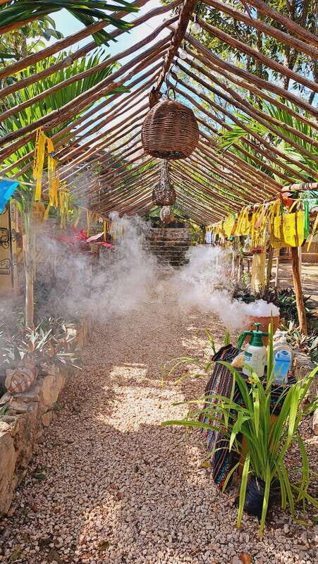 TOUR OF THE 4 BACABES : EXPERIENCE WITH MELIPONA BEES - Exploring the Ancient and Natural World of Yucatán