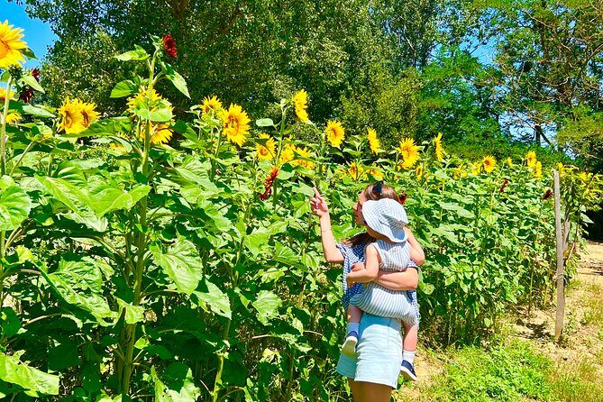 Tour of the Alpacas and the pigs of Cinta Senese in Montepulciano - Frequently Asked Questions