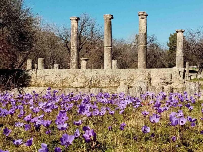 Tour of the archaeological site of Olympia by an Italian-Greek archaeologist - Key Points