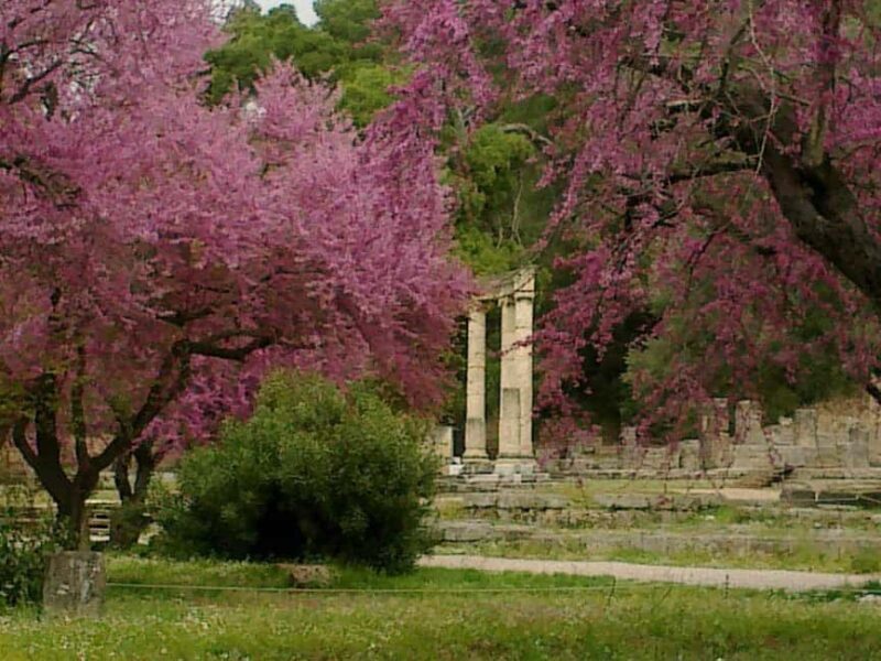 Tour of the archaeological site of Olympia by an Italian-Greek archaeologist - Exploring the Heart of Greece’s Sacred Site