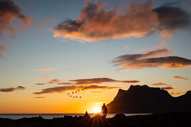 Tour of the authentic fjords of Kvaløya to Sommarøy - A Deep Dive into the Fjord Tour Experience