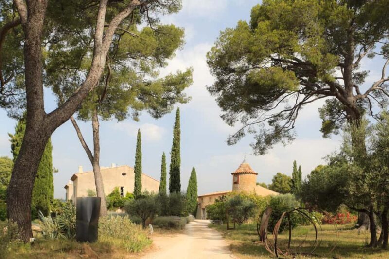 Tour of the Bandol and Côtes de Provence vineyards + Lunch - Discover the Flavors of Provence: Tour of Bandol and Côtes de Provence Vineyards + Lunch